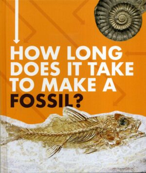 How Long Does It Take To Make A Fossil