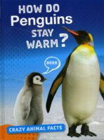 How Do Penguins Stay Warm?