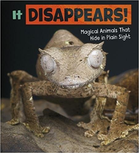 It Disappears!: Magical Animals That Hide in Plain Sight