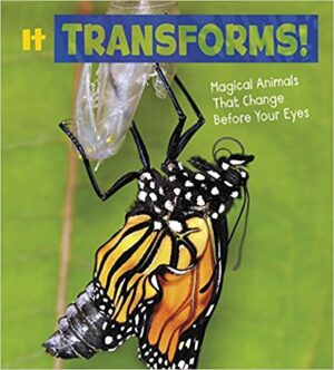 It Transforms! Magical Animals That Change Before Your Eyes