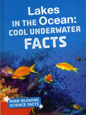 Lakes in the Ocean: Cool Underwater Facts