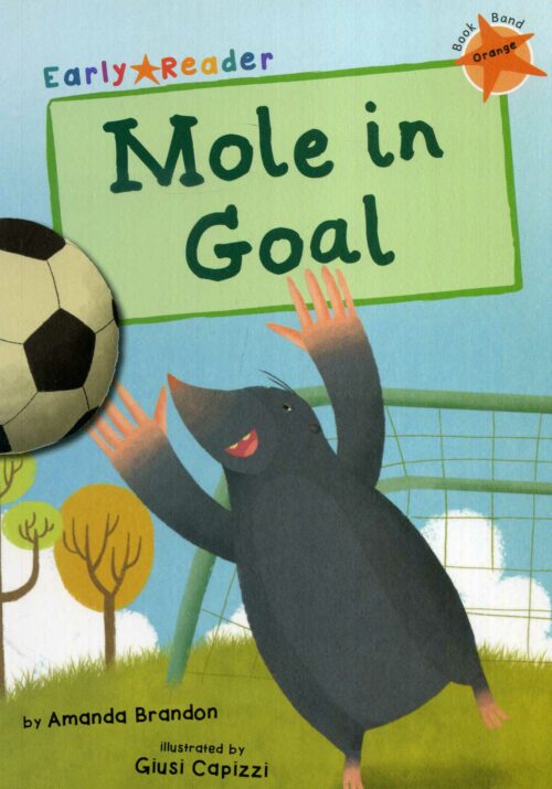 Mole In Goal