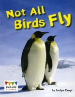 Not All Birds Fly