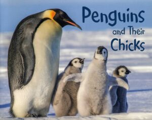 Penguins and their Chicks