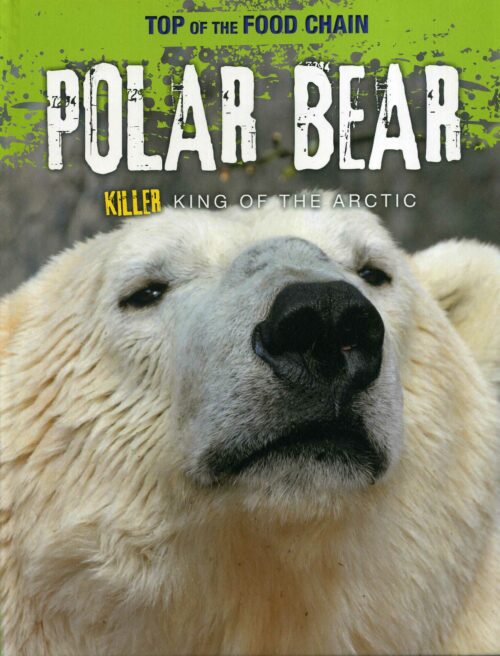 Polar Bear - Killer King Of The Arctic