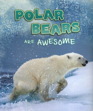 Polar Bears Are Awesome