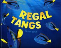 Regal Tangs