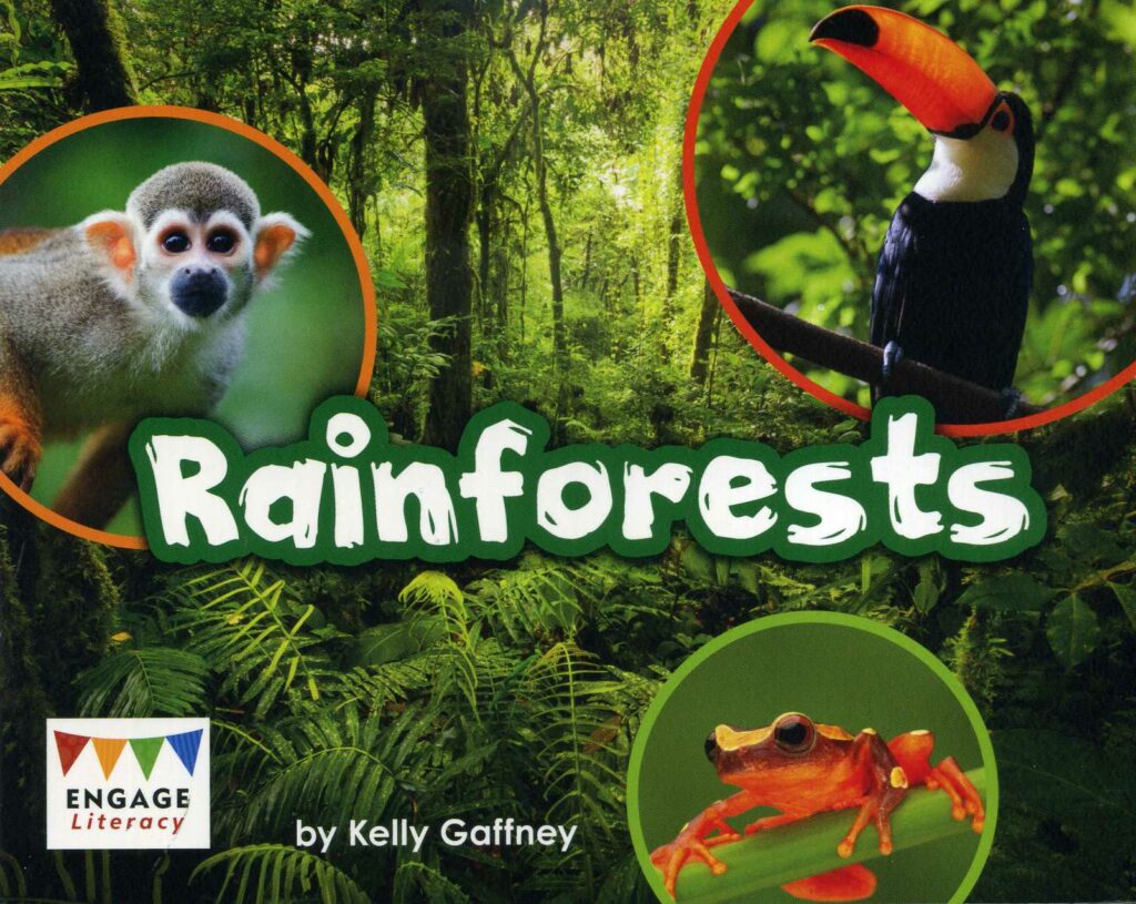 Rainforests - Laburnum House Educational