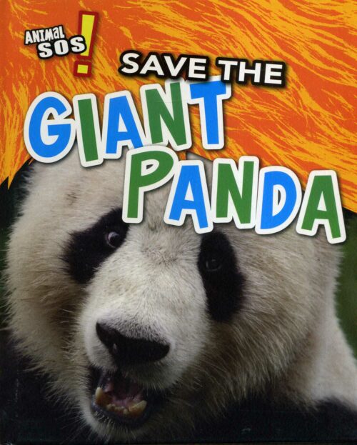 Save The Giant Panda