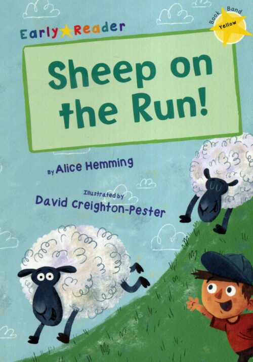 Sheep On The Run!