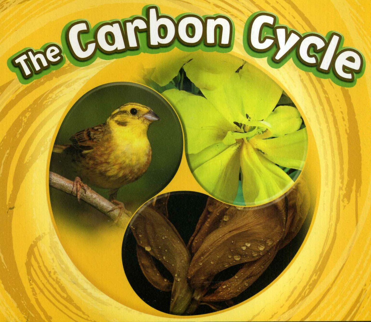 How Does Steel Production Affect The Carbon Cycle