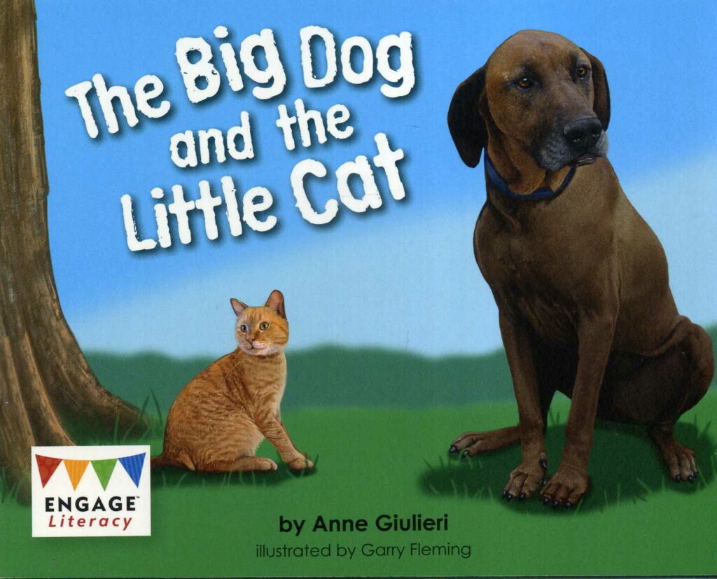 The Big Dog And The Little Cat | 9781474772211 - Laburnum House Educational