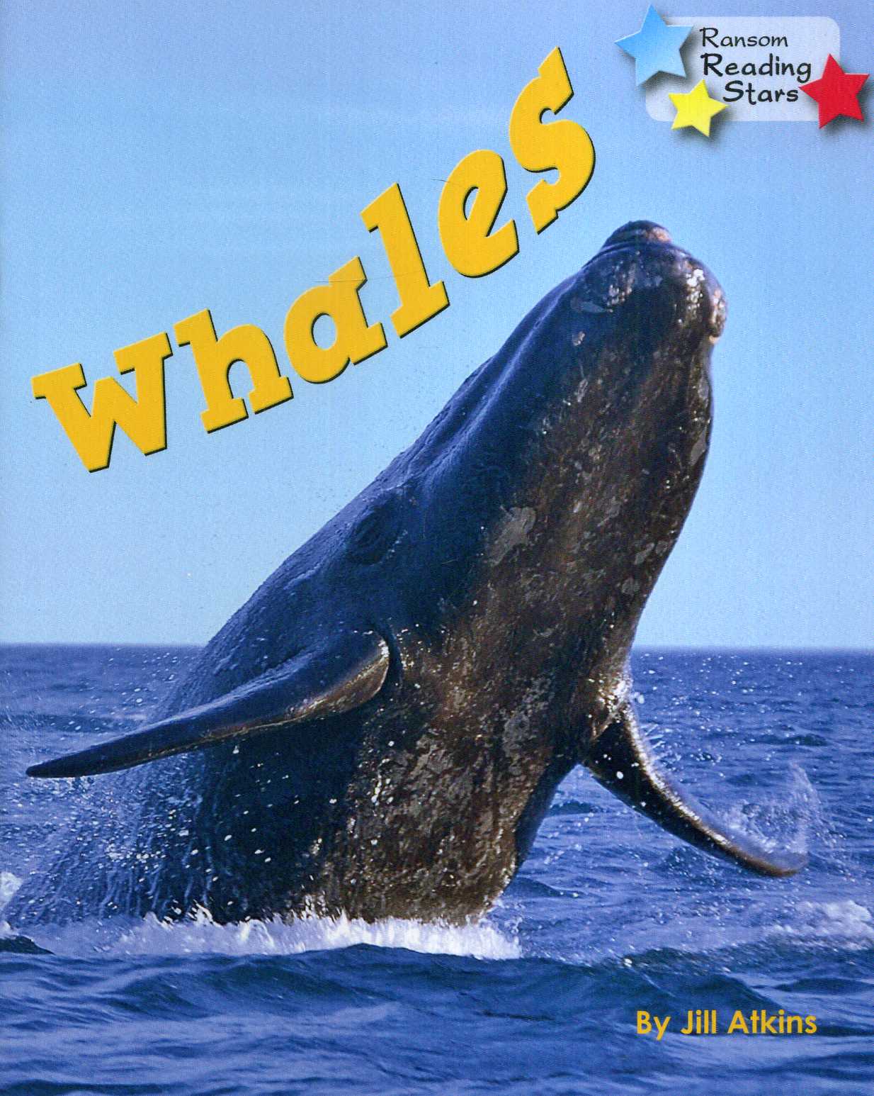 Whales | 9781781278420 - Laburnum House Educational