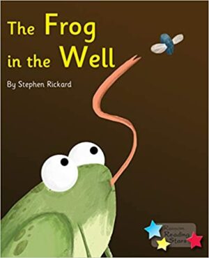 The Frog In The Well