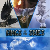Kings of the Skies