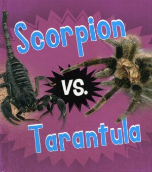 Scorpion vs. Tarantula