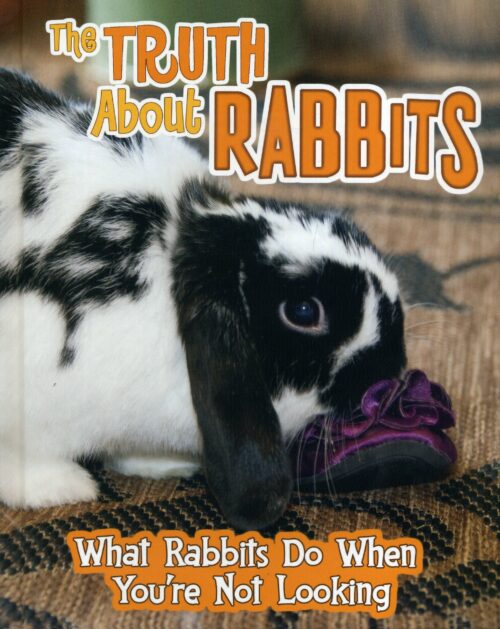 The Truth About Rabbits