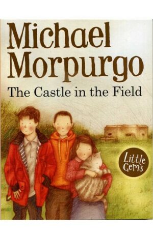 The Castle in the Field